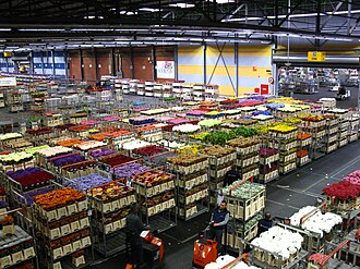 Aalsmeer Flower Auction